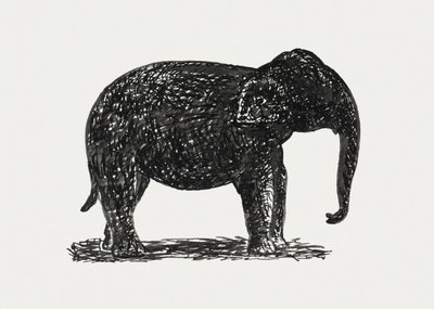 Elephant (n. 1891–1941) tekijältä Leo Gestel