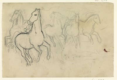 Laukkaa hevoset tekijältä Leo Gestel