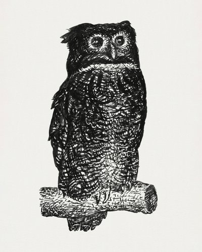 Pöllö tekijältä Leo Gestel