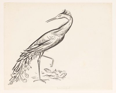 Heron vedessä kaksi kalaa jalkojensa vieressä tekijältä Leo Gestel