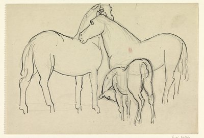 Kaksi hevosta ja varsa tekijältä Leo Gestel