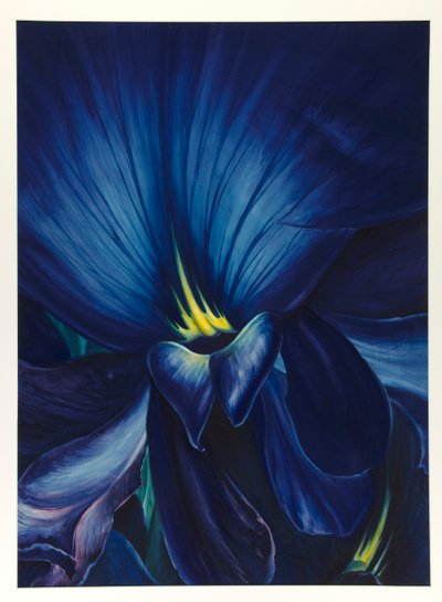 Kiinalainen Delphinium tekijältä Leon Carroll