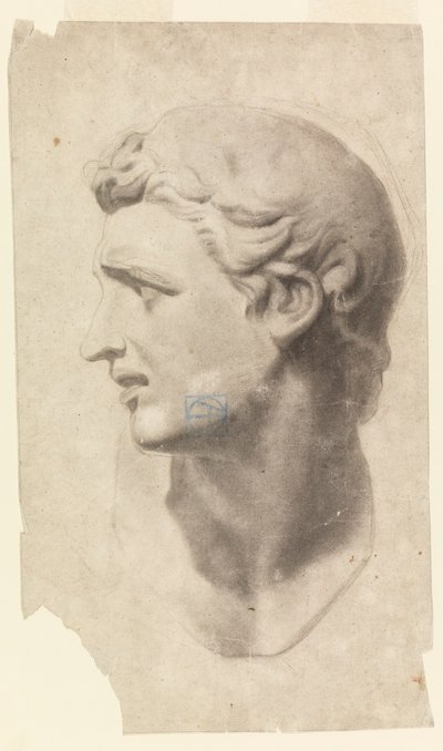 Piirustus, Klassisen miehen pään tutkimus (kipsivalu), 1881-92. tekijältä Leon Dabo