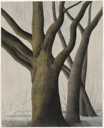  tekijältä Leon Spilliaert