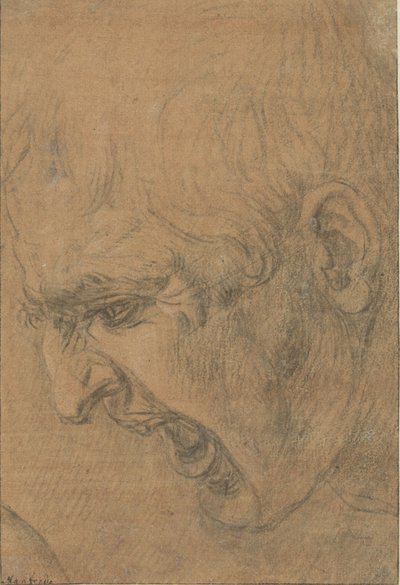 Huutavan miehen pää tekijältä Leonardo da Vinci (follower of)