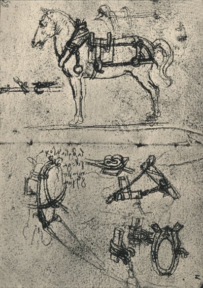 Valjastettu kärryhevonen ja valjaiden opinnot, c1480 1945 tekijältä Leonardo da Vinci