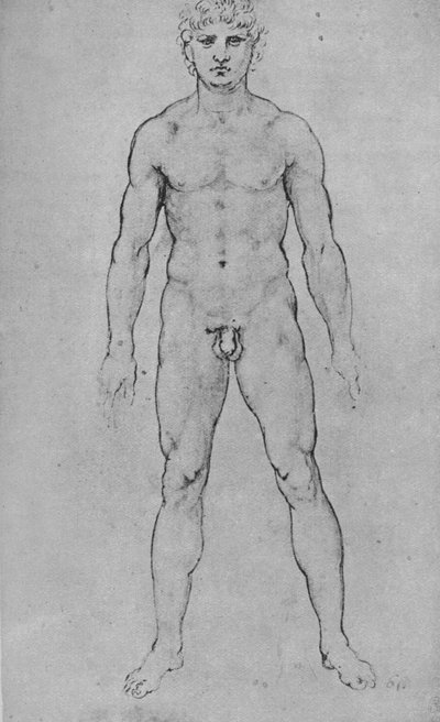 Alaston mies edestä nähtynä, c1480 1945 tekijältä Leonardo da Vinci