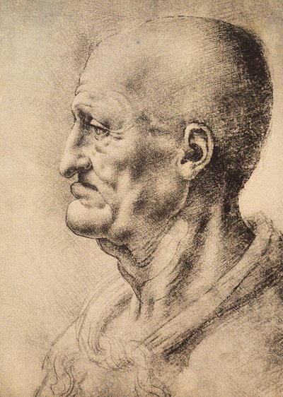 Mies profiilissa, Leonardo da Vincin piirustus, joka on säilytetty Firenzen Uffizi-gallerian piirustusten ja tulosteiden huoneessa. tekijältä Leonardo da Vinci