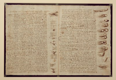 Sivu Codex Leicesteristä, 1508-12 (seepiamuste pellavapaperille) tekijältä Leonardo da Vinci