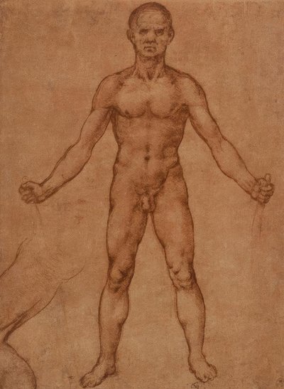 Aktstudie eines stehenden Mannes, frontal tekijältä Leonardo da Vinci
