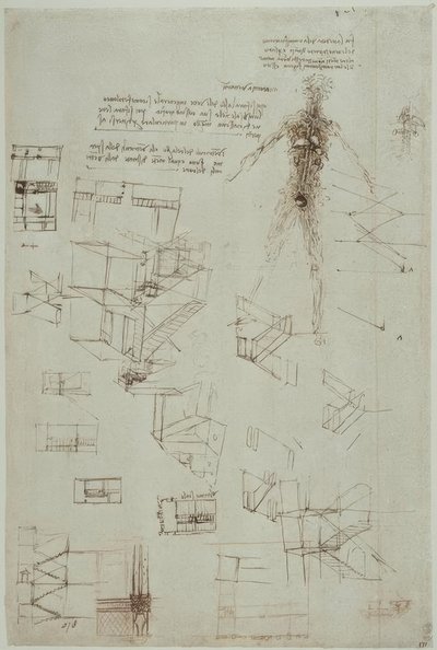 Anatomiestudien tekijältä Leonardo da Vinci