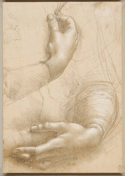 Kädet ja naisten kädet, c. 1480. tekijältä Leonardo da Vinci