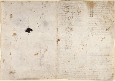 Arundel 263, f.225v, f.230 Piirustuksia mekaanisista voimista, lyömäsoittimet, painovoima, liike, optiikka ja tähtitiede, erilaisilla aritmeettisilla ja geometrisilla ehdotuksilla (kynä ja muste paperille) tekijältä Leonardo da Vinci