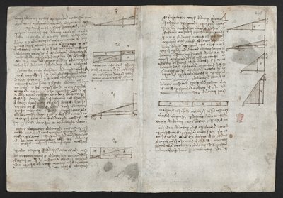 Arundel 263, f.246v Piirustuksia mekaanisista voimista, lyömäsoittimista, painovoimasta, liikkeestä, optiikasta ja tähtitiedestä, erilaisilla aritmeettisilla ja geometrisilla ehdotuksilla, kuvitus Leonardon Havaintokirjasta (muste paperille) tekijältä Leonardo da Vinci