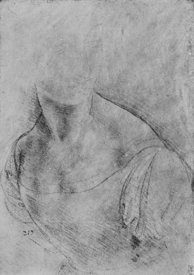 Vasemmalle käännetty naisen rintakuva, pää hieman merkitty, c1480 1945 tekijältä Leonardo da Vinci