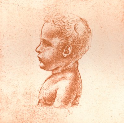 Pojan rintakuva, c1472-c1519 1883 tekijältä Leonardo da Vinci
