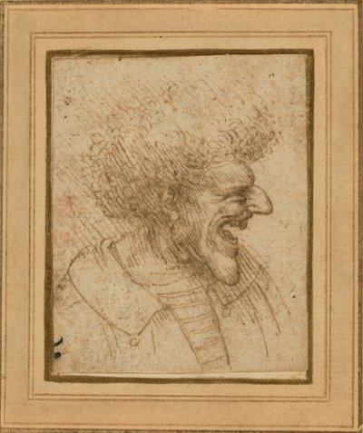 Karikatyyri miehestä, jolla on pusikkoiset hiukset tekijältä Leonardo da Vinci