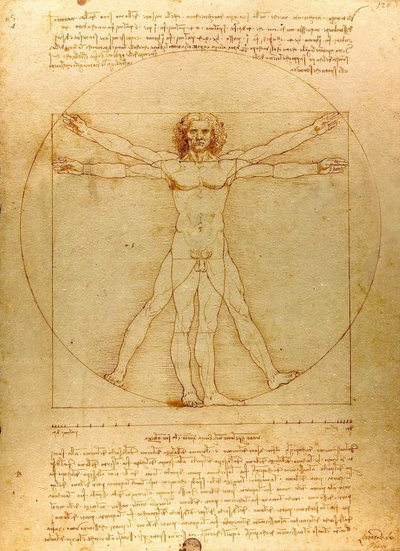Da Vinci Vitruve Luc Viatour (rajattu) tekijältä Leonardo da Vinci