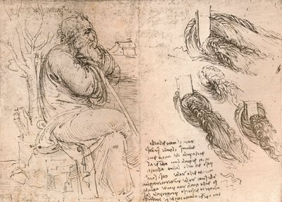 Piirustus, joka havainnollistaa kiharoissa putoavia hiuksia, c1472-c1519 1883 tekijältä Leonardo da Vinci