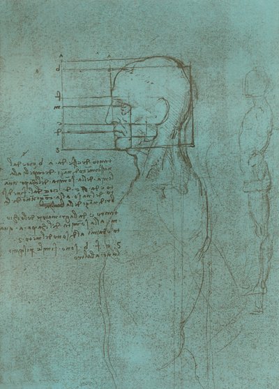 Piirros, joka havainnollistaa teoriaa ihmishahmon mittasuhteista, c1472-c1519 1883. tekijältä Leonardo da Vinci