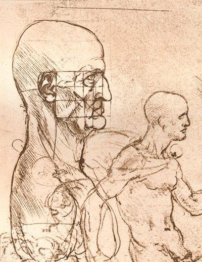 Piirros, joka havainnollistaa teoriaa ihmishahmon mittasuhteista, c1472-c1519 1883 tekijältä Leonardo da Vinci