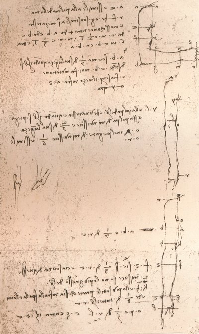 Piirros, joka havainnollistaa teoriaa ihmishahmon mittasuhteista, c1472-c1519 1883 tekijältä Leonardo da Vinci