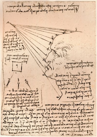 Piirustus miehen päästä, havainnollistaa maalauskäytäntöä, c1472-c1519 1883 tekijältä Leonardo da Vinci