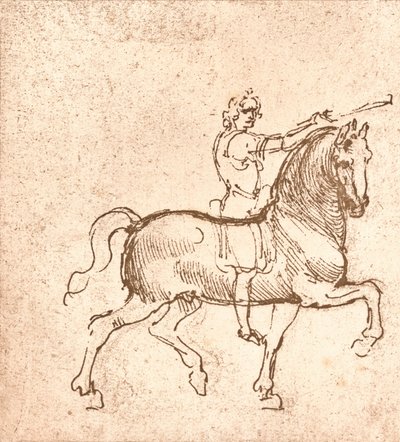Piirustus kävelyhevosesta, c1472-c1519 1883 tekijältä Leonardo da Vinci