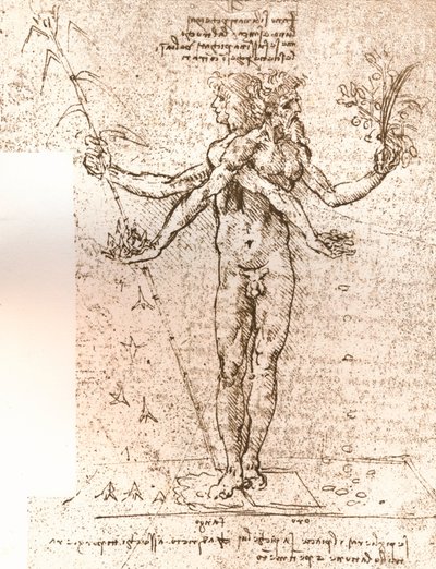 Piirustus allegorisesta koostumuksesta, c1472-c1519 1883 tekijältä Leonardo da Vinci
