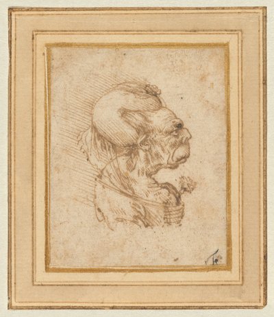 Vanhan naisen groteski pää tekijältä Leonardo da Vinci