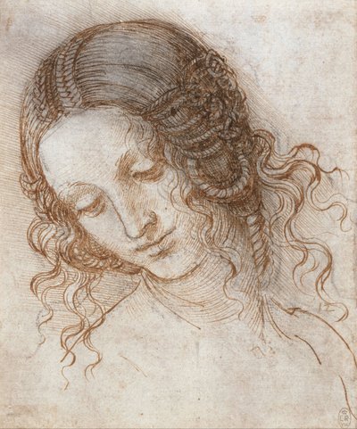 Ledan pää tekijältä Leonardo da Vinci
