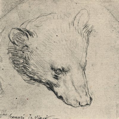 Karhun pää, c1480 1945 tekijältä Leonardo da Vinci