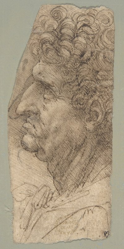 Miehen pää profiilissa, kasvot vasemmalle päin tekijältä Leonardo da Vinci