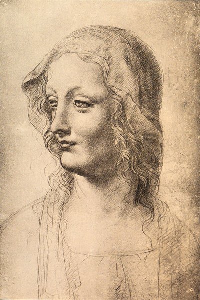 Nuoren naisen pää, Leonardo da Vincin piirustus, Piirustus- ja grafiikkakaappi, Uffizi, Firenze tekijältä Leonardo da Vinci