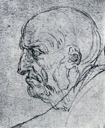 Vanhan miehen pää, 1913 tekijältä Leonardo da Vinci