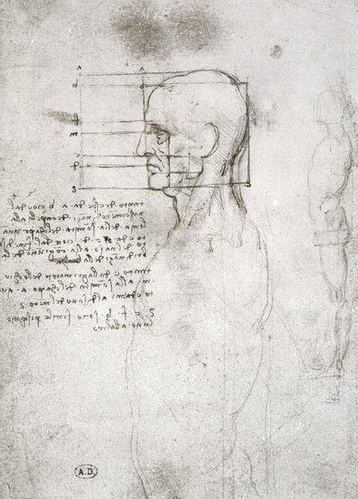 Vanhan miehen pää profiilissa, faksikopio (kynä ja muste paperille) tekijältä Leonardo da Vinci