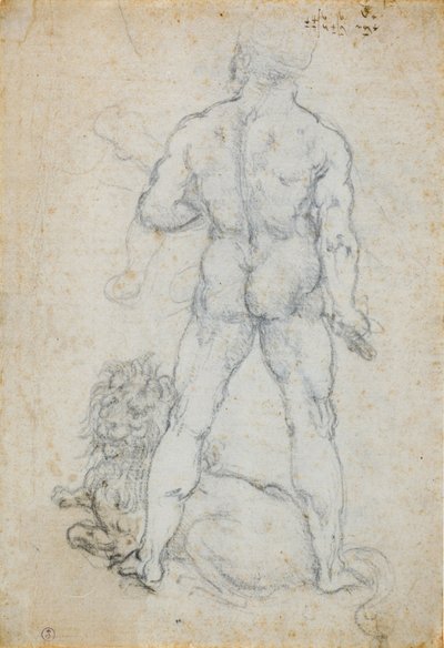 Hercules ja Nemean leijona, n. 1506-08 (hiili ja metallikärki valkoisella paperilla) tekijältä Leonardo da Vinci