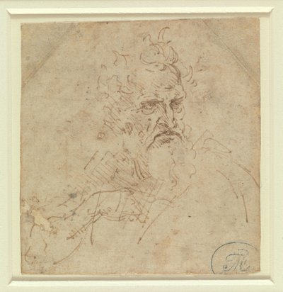 Synkän näköisen harmaapäisen miehen pää, jossa näkyy oikea käsivarsi tekijältä Leonardo da Vinci