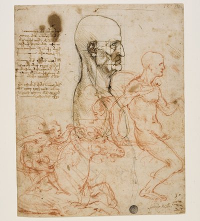 Ihmisen rintakuva profiilissa mittasuhteiden tutkimuksella, n. 1490-1499. tekijältä Leonardo da Vinci