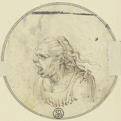 Karikatyyri naisesta, suu auki, rintakuva, profiilista vasemmalle tekijältä Leonardo da Vinci