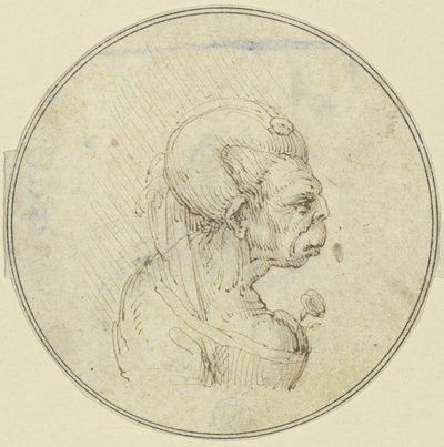Karikatyyri vanhasta naisesta, rintakuva, jossa naisella on ruusu rinnallaan, profiilissa oikealle tekijältä Leonardo da Vinci