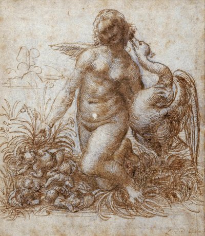 Leda ja joutsen (kynä ja ruskea muste mustan liidun päällä paperilla) tekijältä Leonardo da Vinci