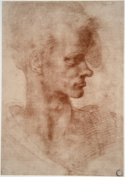 Leonardo da Vinci (Leonardo da Vinci) (1452 - 1519): Karikatyyrimuotokuva nuoresta miehestä (Imagine) tekijältä Leonardo da Vinci