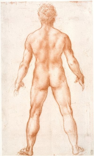 Männlicher Akt Rückenansichtissa tekijältä Leonardo da Vinci
