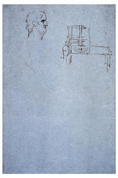 Männliches Profilbildnis tekijältä Leonardo da Vinci