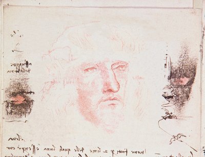 Huomautuksia lentosuunnan muutoksista, käsikirjoitussivu Codici Rari III:sta 35.2, fol. 10v kirjasta Treatise on the Flight of Birds, 1505 (kynä ja muste paperille) tekijältä Leonardo da Vinci