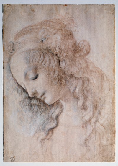 Tytön muotokuva - piirustus tekijältä Leonardo da Vinci