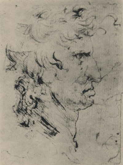 Oikealla olevan miehen profiili, c1480 1945 tekijältä Leonardo da Vinci