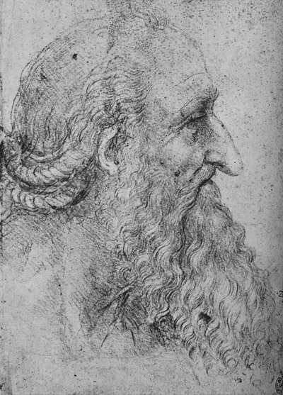 Vanhan, parrakkaan miehen profiili oikealla, c1480 1945 tekijältä Leonardo da Vinci