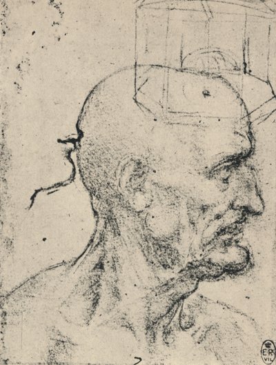 Kaljuun miehen oikealla puolella oleva profiili, c1480 1945 tekijältä Leonardo da Vinci